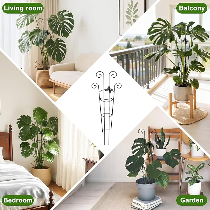 Coomin 32.6in Monstera Plant Support - Image 6
