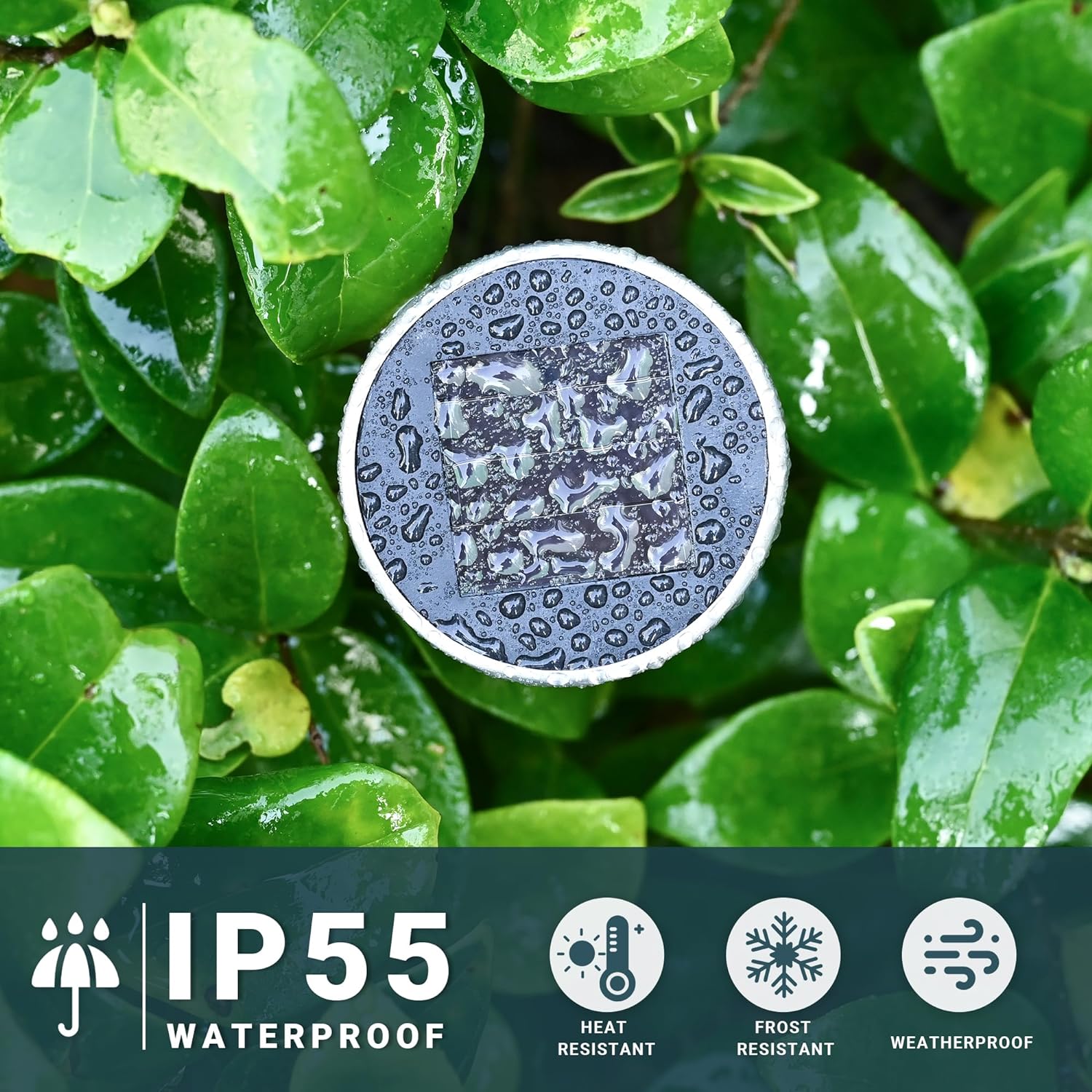 SOLPEX 16 Pack Solar Lights Outdoor, Stainless Steel Solar Pathway Lights | Solar Lights Outdoor Waterproof ,LED Landscape Lighting Walkway for Landscape/ Patio/Lawn/Yard/Driveway-Cold White
