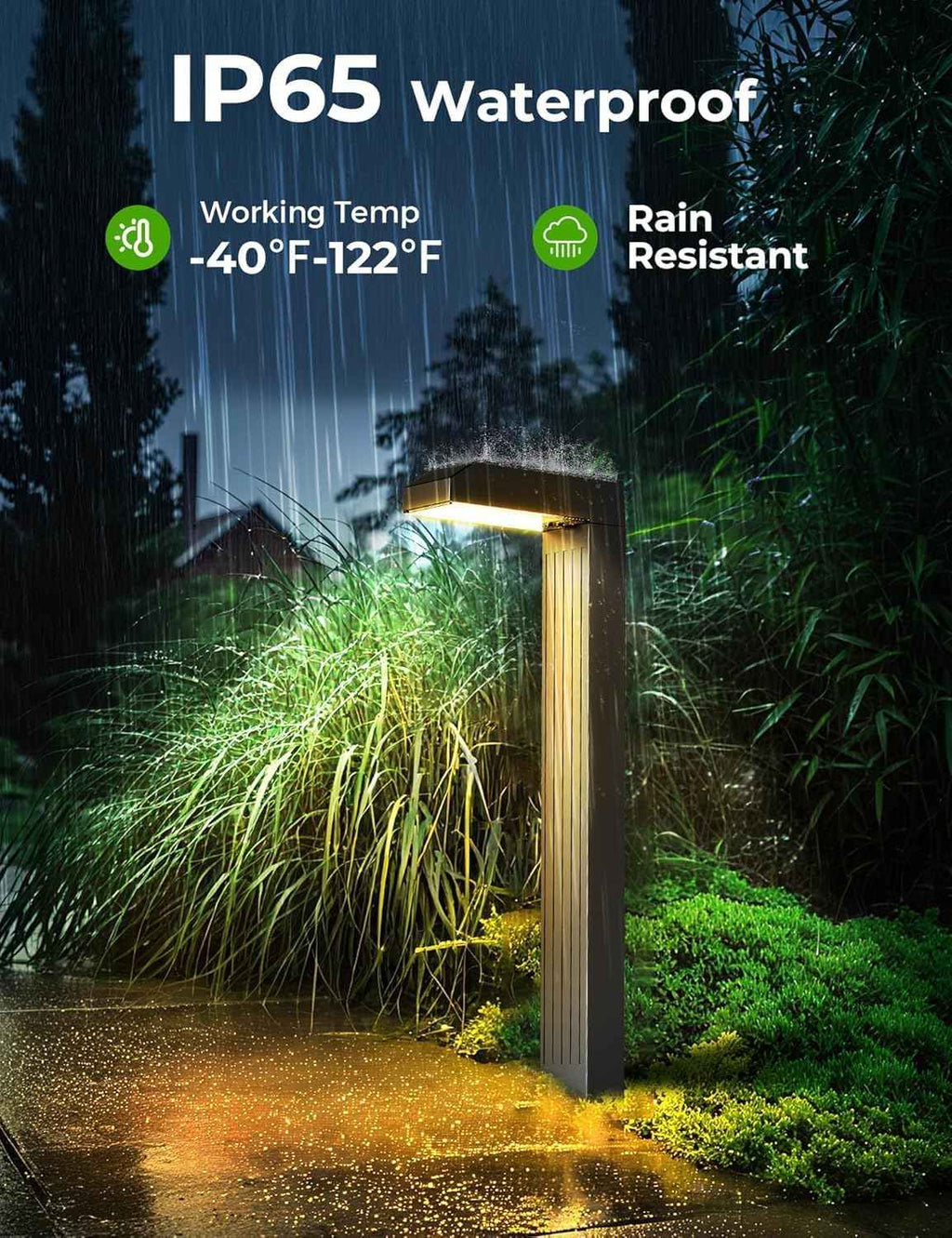 COXSENI Solar Pathway Lights Outdoor,3 Color Temperatures,20 LEDs,8 Pack | Clear Tempered Glass Solar Panel,IP65 Waterproof,Bright Led Landscape Lighting,Yard,Walkway,Driveway,Patio,Lawn,Auto On Off