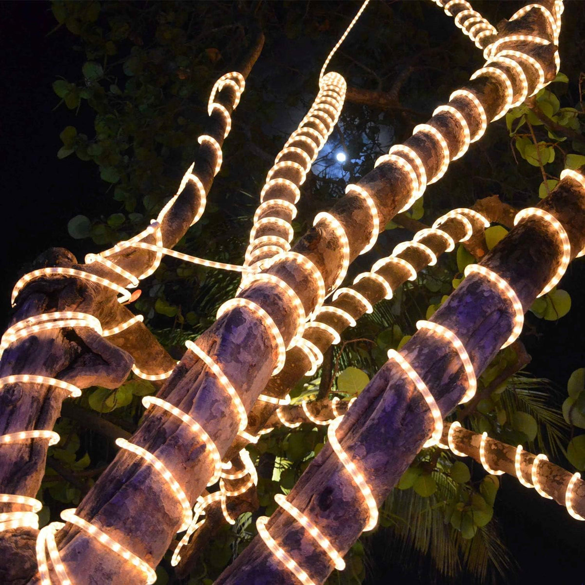 50ft/15m Plug in LED Rope Lights, 540 Warm White LEDs, 110V, Waterproof, Connectable,Power Socket Connector Fuse Holder, Indoor/Outdoor Use, Ideal for Backyards, Decorative Lighting