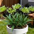 8 Bundles Artificial Flowers Plants for Outdoor Planters | 18.9 in Green Large Fake Flowers | Spring Summer Look Real Plasic Faux Plant for Front Porch Pathway Garden Patio (Green)