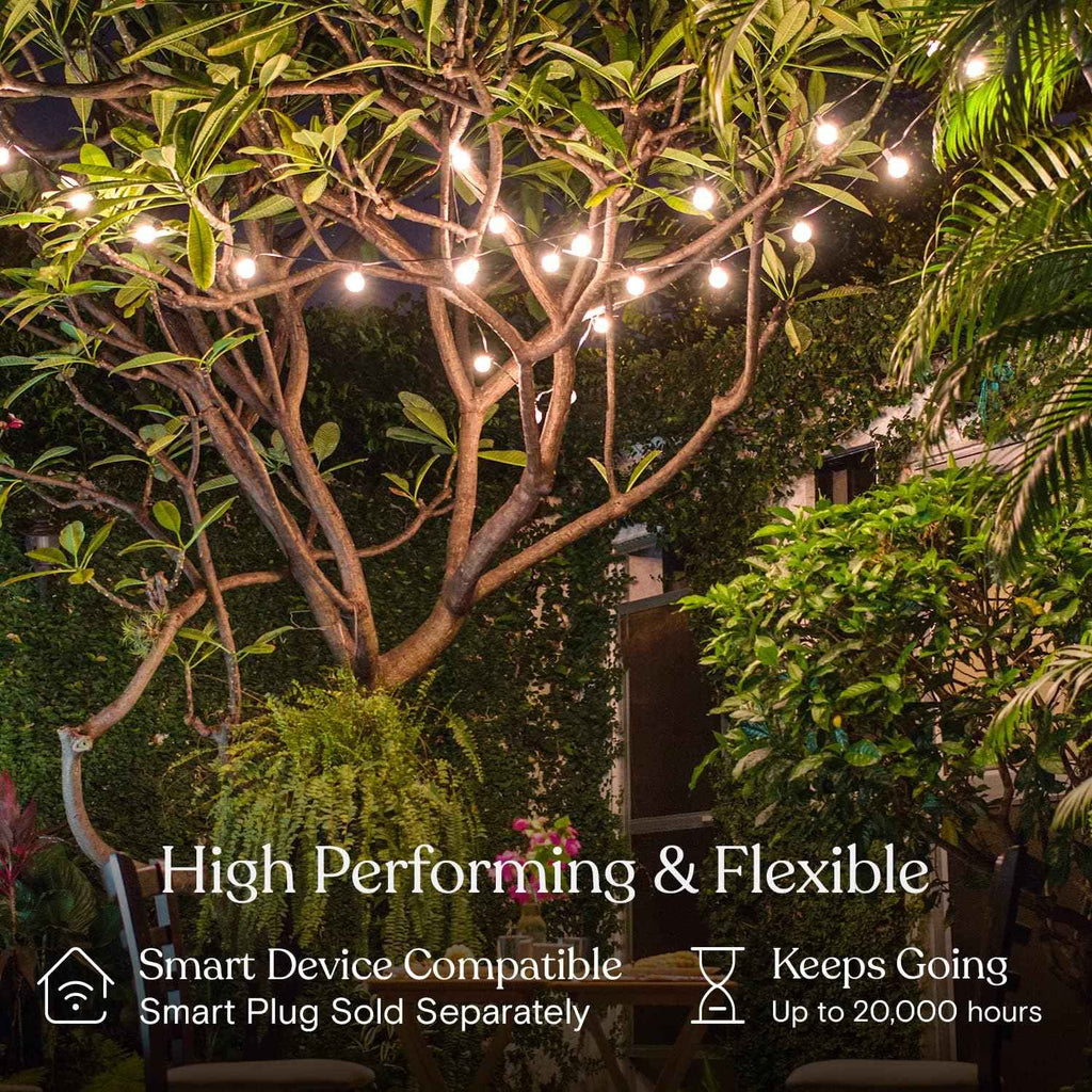 Brightech Ambience Pro LED String Lights - 26 Ft Commercial Grade Patio Lights Outdoor Waterproof - 12 Globe Porch String Lights for Outside, Backyard - 1W Vintage Edison Bulbs, Shine Bright, White