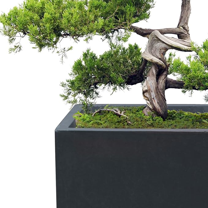 Kante 18.5", 12.6" H Tall Rectangular Concrete Planters Set of 3, Outdoor - Image 3