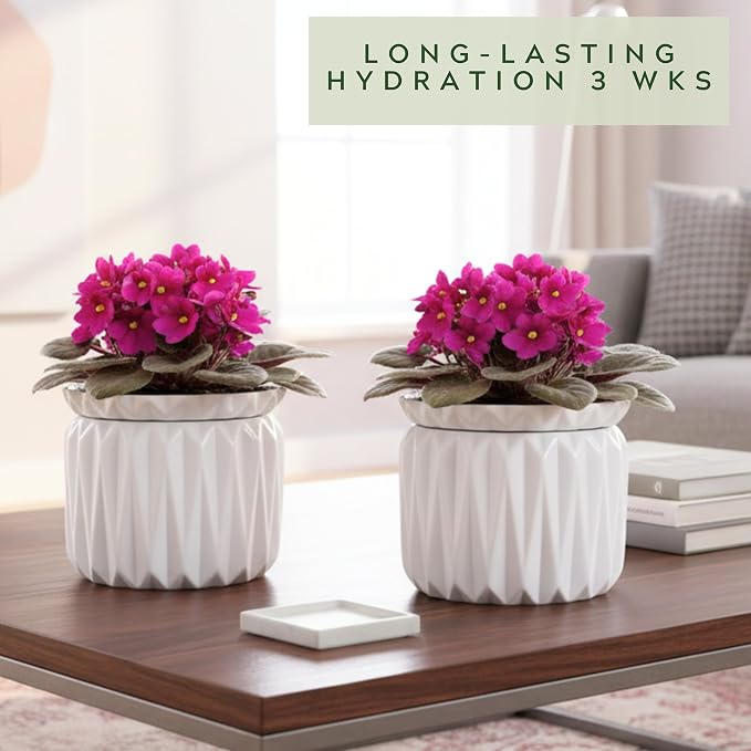 6 Inch African Violet Pots Self Watering, Ceramic Planter - Image 7