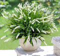 Artificial Faux Plants Flowers for Outdoor Decorations,Faux Plastic Fake Monkey Grass Greenery for Spring Summer UV Resistant Realistic Artificial Shrubs for Courtyard Window Garden(B-White, 12 PCS)