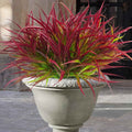 Uieke 12 Bundles Artificial Outdoor Plants UV Resistant Fake Grass Plants Faux Plastic Plants Greenery Shrubs for Home Garden Pathway Window Box Front Porch Spring Summer Decor, Deep Red