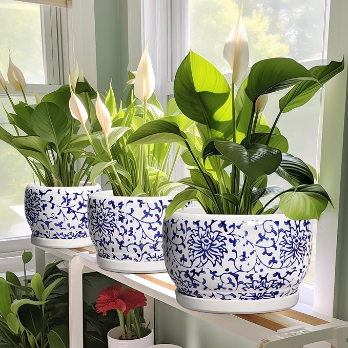 SQOWL Ceramic Pots for Plants - Image 6