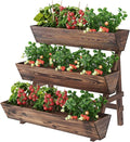 3-Tier Wooden Vertical Raised Garden Bed by PULIJIAJU