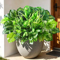 Livole Fake Artificial Plants Outdoor UV Resistant Artificial Flowers Large Bunches Faux Plants Greenery Stems Boston Fern for Garden Porch Planter Window Box Home Decor