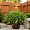 12 Bundles Artificial Greenery Outdoor Shrubs Faux Plants Fake Grasses | UV Resistant, Faux Plastic Greenery, Home Garden Pathway Window Box Front Porch, Outdoor Decor