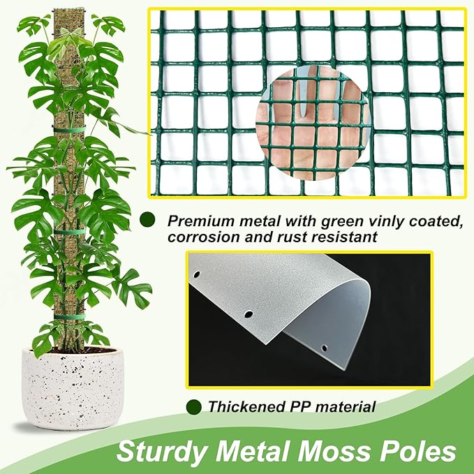 60"/40"/24" Metal Moss Pole, D Shape Sphagnum Moss Pole, Moss Poles - Image 4