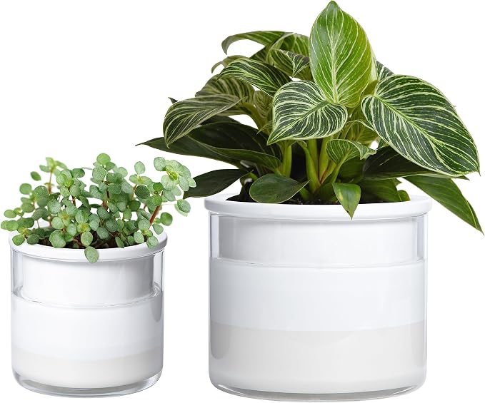 Phoenix Vine 6 Inch 4 Inch Self Watering Planter Pots, Design White Terracotta by Phoenix+Vine