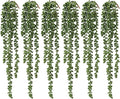 dallisten 6 Pcs Artificial Succulents Hanging Plants, Fake String of Pearls Greenery Plants, Decoration for Wall, Home, Backdrop, Garden, Indoor and Outdoor