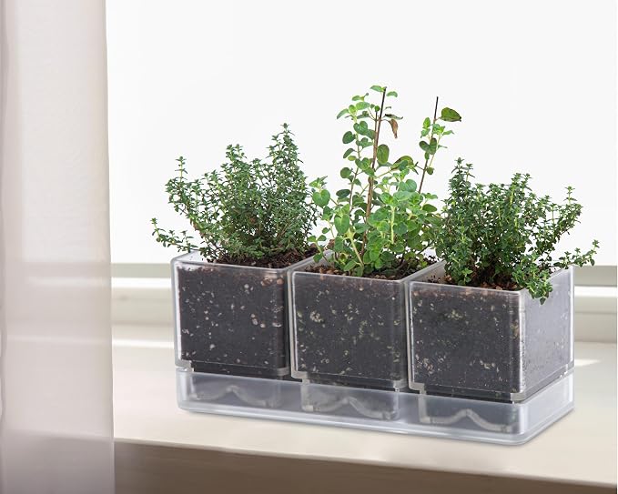 D'vine Dev Herb Garden Planter Set, Plastic Plant Pots - Image 4