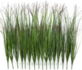 16 Bundles Artificial Grass Plants Outdoor Tall Faux Shrubs Greenery Stems Fake Onion Grasses Wheat Grass UV Resistant Faux Bushes Plant for Garden Indoor Office Home Decor（Red-Tipped Green）