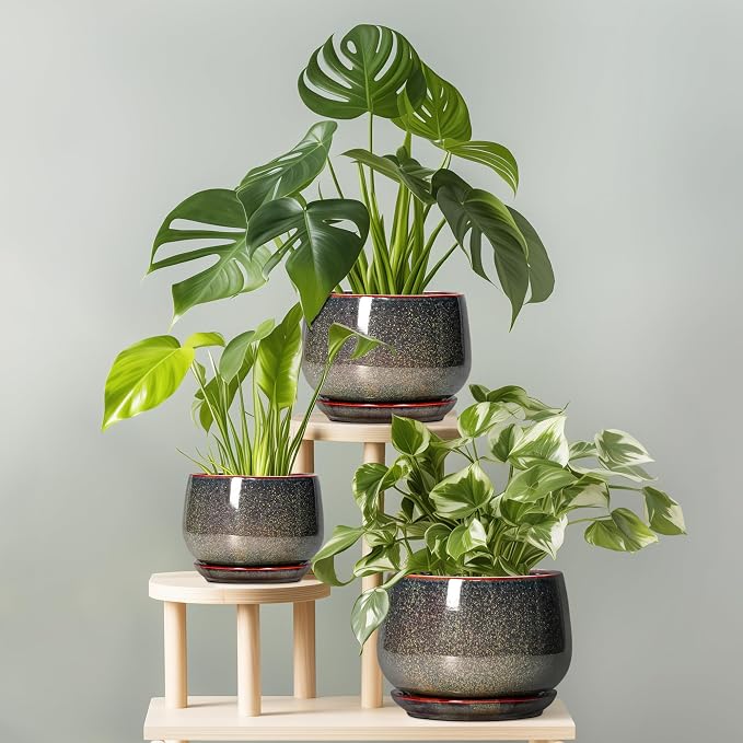 G EPGardening 7 Inch Ceramic Pots - Image 7