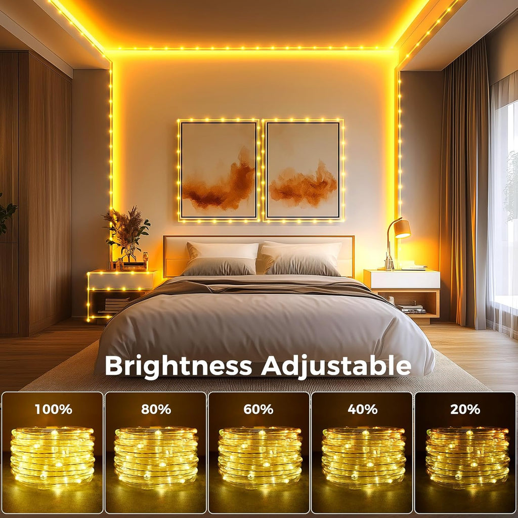 Minetom Color Changing Rope Lights Outdoor, 33FT 100 LED Rope Light | Outdoor String Lights with Remote, Timer, Waterproof Christmas Light Outdoor Decoration for Outside Indoor Bedroom,16 Colors