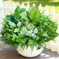12 Bundles Artificial Plants Outdoor, UV Resistant Greenery | Large faux greenery stems for outside planters, porch, window box and patio garden decor. Maintenance free, pot not included
