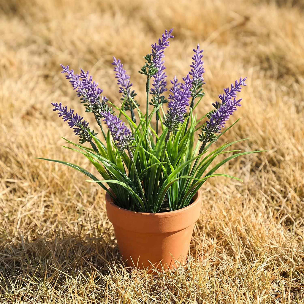 4 Bundles Fake Monkey Grass, 13.5inch UV Resistant Lavender, Faux Monkey Grass Greenery Stems, Artificial Lavender Flower for Pot Planter Filler Patio Garden Porch Decor, Purple Green