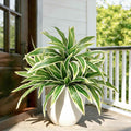 Fake Ferns, Faux Outdoor Plants UV Resistant,3D Real Touch Fake Plants Total 80 Blades,Weatherproof Artificial Plants Outdoor Indoor for Garden Porch Home Office Decor