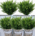 Toprooms Outdoor Faux Plants Greenery Artificial Flowers Fake Boxwood Shrubs UV Resistant Plastic Plant for Farmhouse Garden Porch Patio Indoor Wedding Decoration (1#Outdoor Greenery, 12 Pcs)