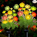 Solar Garden Lights Outdoor, 2 Pack Upgraded Succulent Solar Flowers Outside by KohlrabiDecor