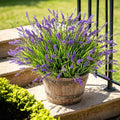 12 Bundles Artificial Plant Outdoor Fake Monkey Grass Faux Lavender Flowers | UV Resistant, No Fading, Zero Maintenance, Outdoor & Indoor