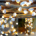 Natural Seashell String Lights 13.2ft 40 LED 8 Modes Warm White Weatherproof Battery Operated Ocean Theme Lights for Bedrooms Parties Weddings Gardens with Remote and Timer (Natural Shell)