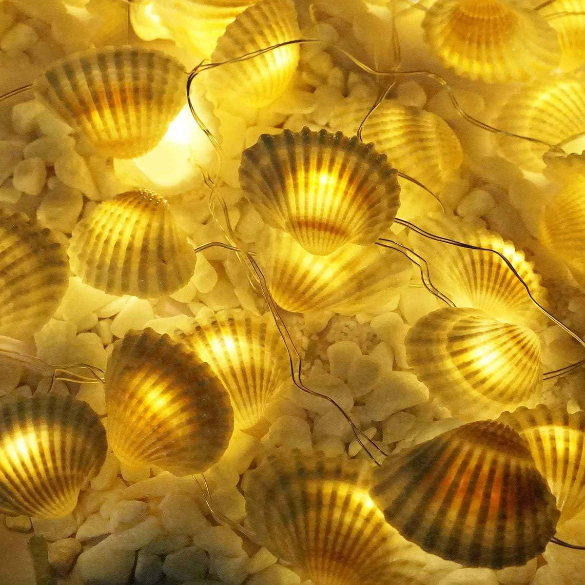 Natural Seashell String Lights 13.2ft 40 LED 8 Modes Warm White Weatherproof Battery Operated Ocean Theme Lights for Bedrooms Parties Weddings Gardens with Remote and Timer (Natural Shell)