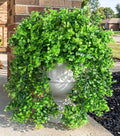 Faux Outdoor Plants Fake Hanging Plants for Outdoors Outside Decorations, 2 Pcs Green Faux Eucalyptus Hanging Vine Realistic UV Resistant Artificial Greenery for Planters Porch Garden Yard Patio